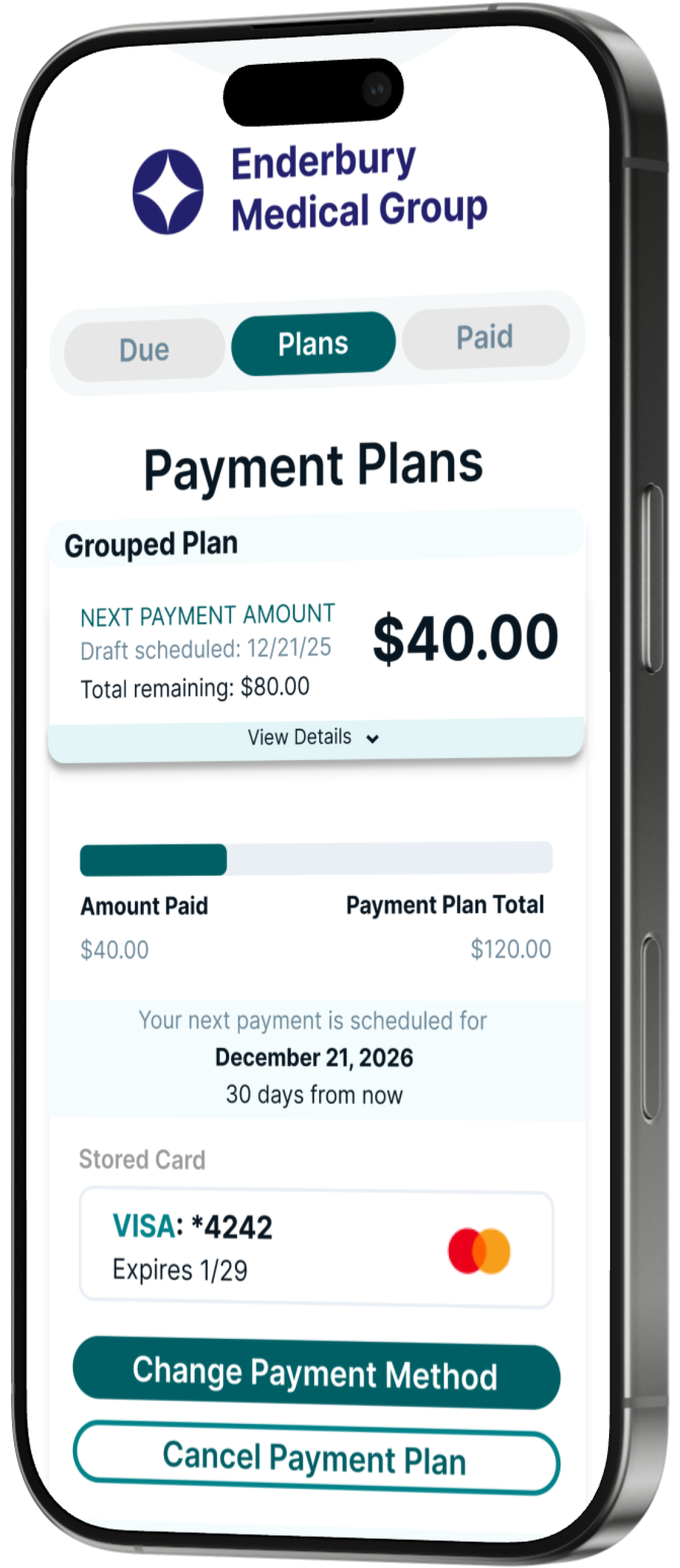 mobile phone with image of payment application